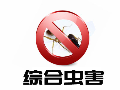 綜合蟲(chóng)害服務(wù)